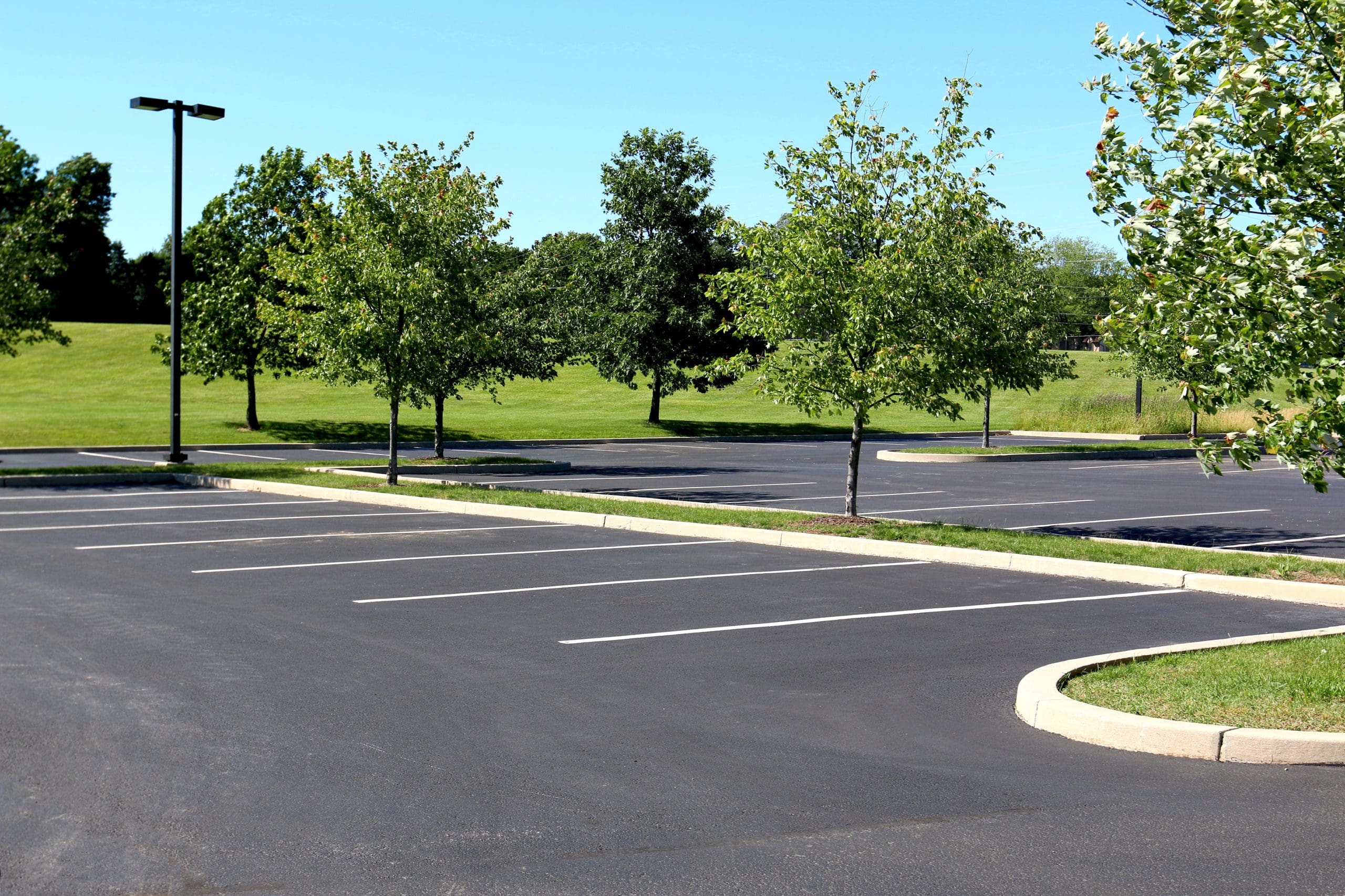An empty parking lot with freshly painted white lines, several green trees, a grassy area in the background, and a clear blue sky overhead.